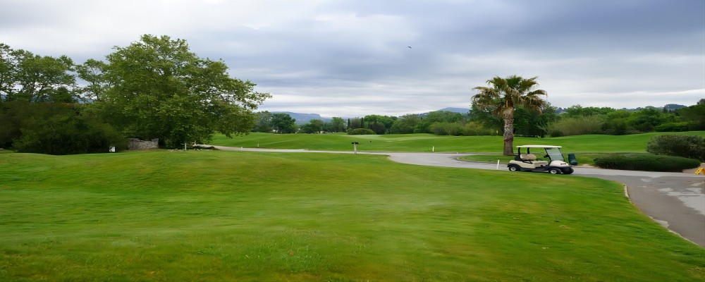 batterie de voiturette de golf