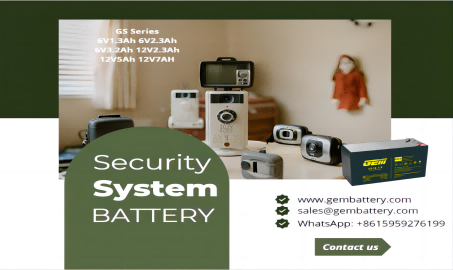 Batteries pour système de sécurité domestique série GS : protégez votre maison et protégez votre sécurité